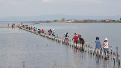 Pomorie