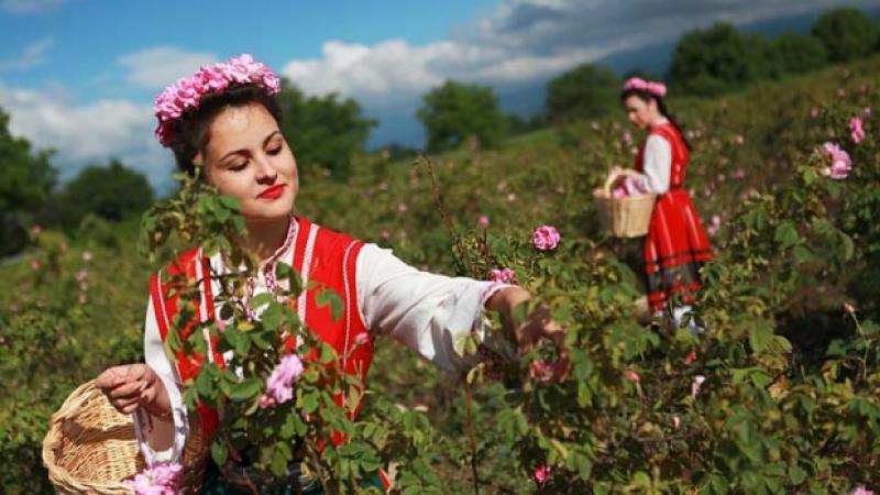 Valley of Roses Region