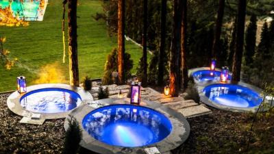 Kashmir Wellness & Spa Hotel