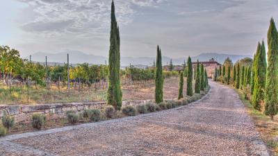 AYA Estate Relais & Chateaux